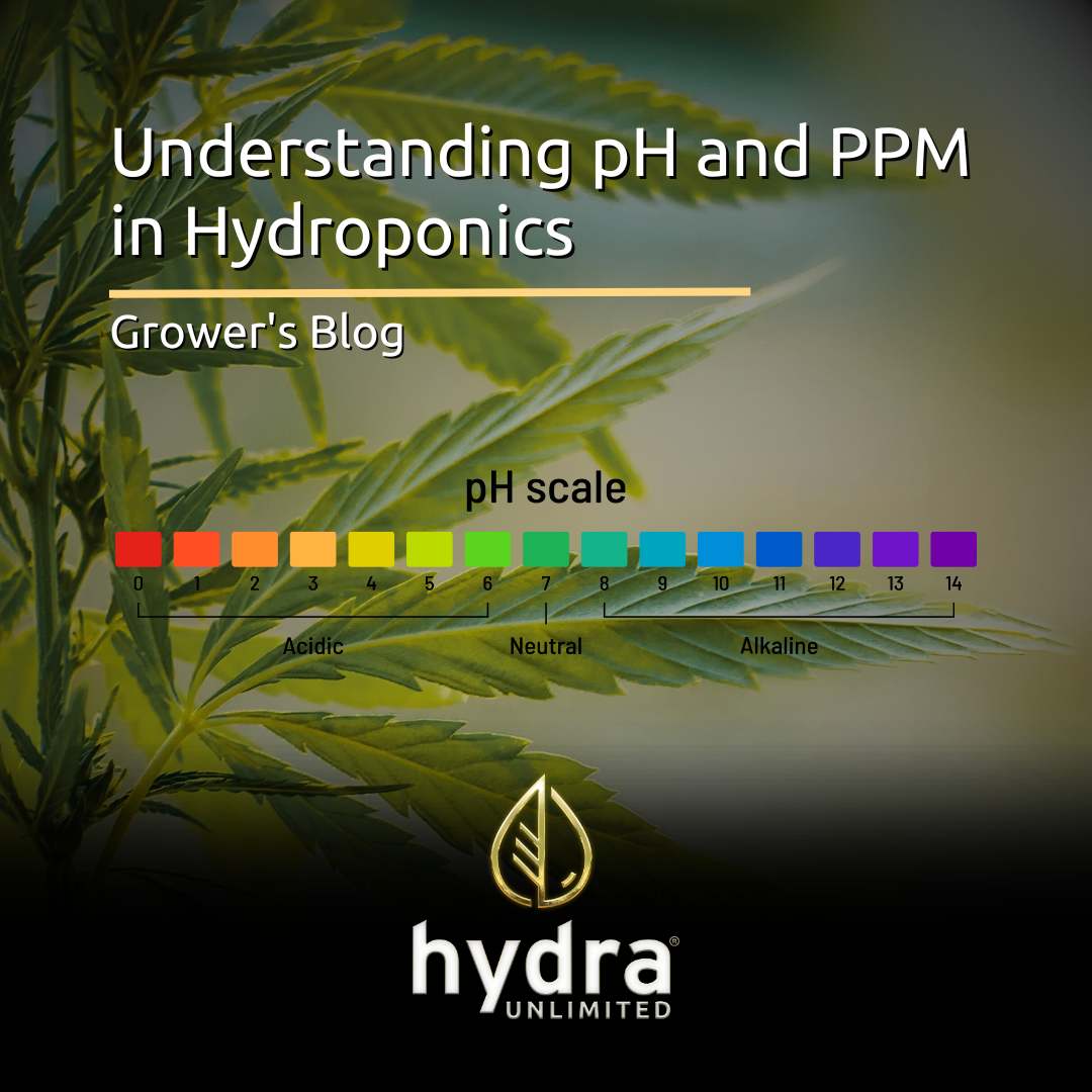 Understanding pH and PPM in Hydroponics