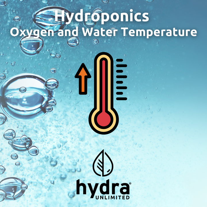 Hydroponics oxygen and water temperature