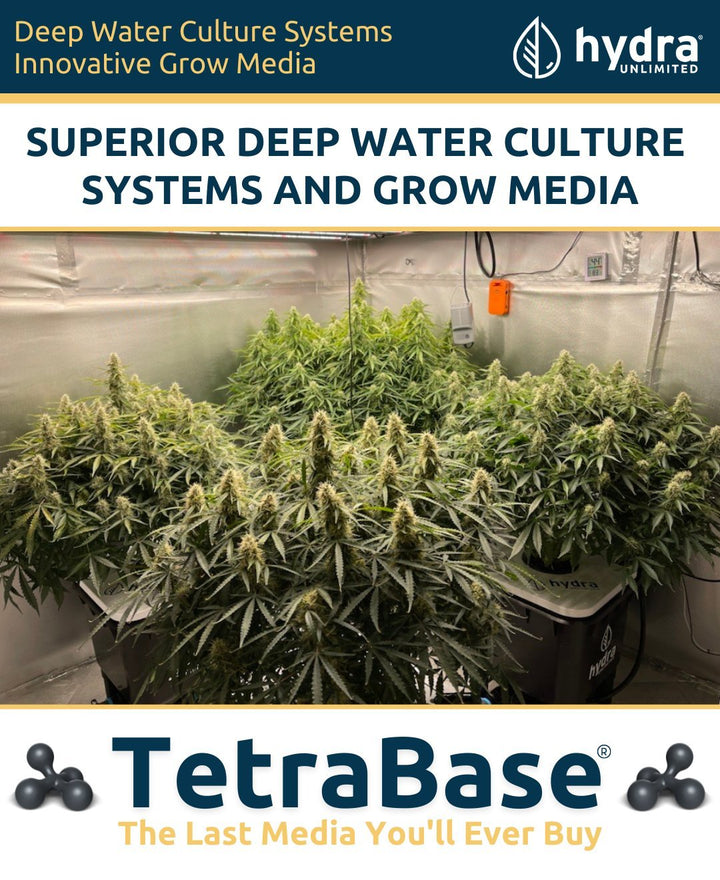 tetrabase professional hydroponics grow media