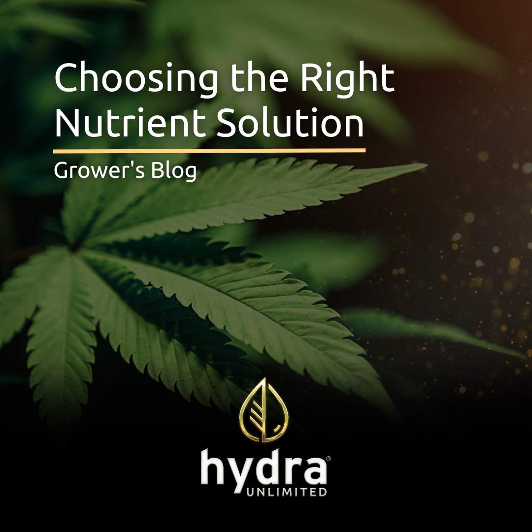 How to choose the right nutrient solution