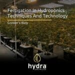 Fertigation In Hydroponics Techniques And Technology