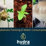 Substrate Farming and Water Consumption