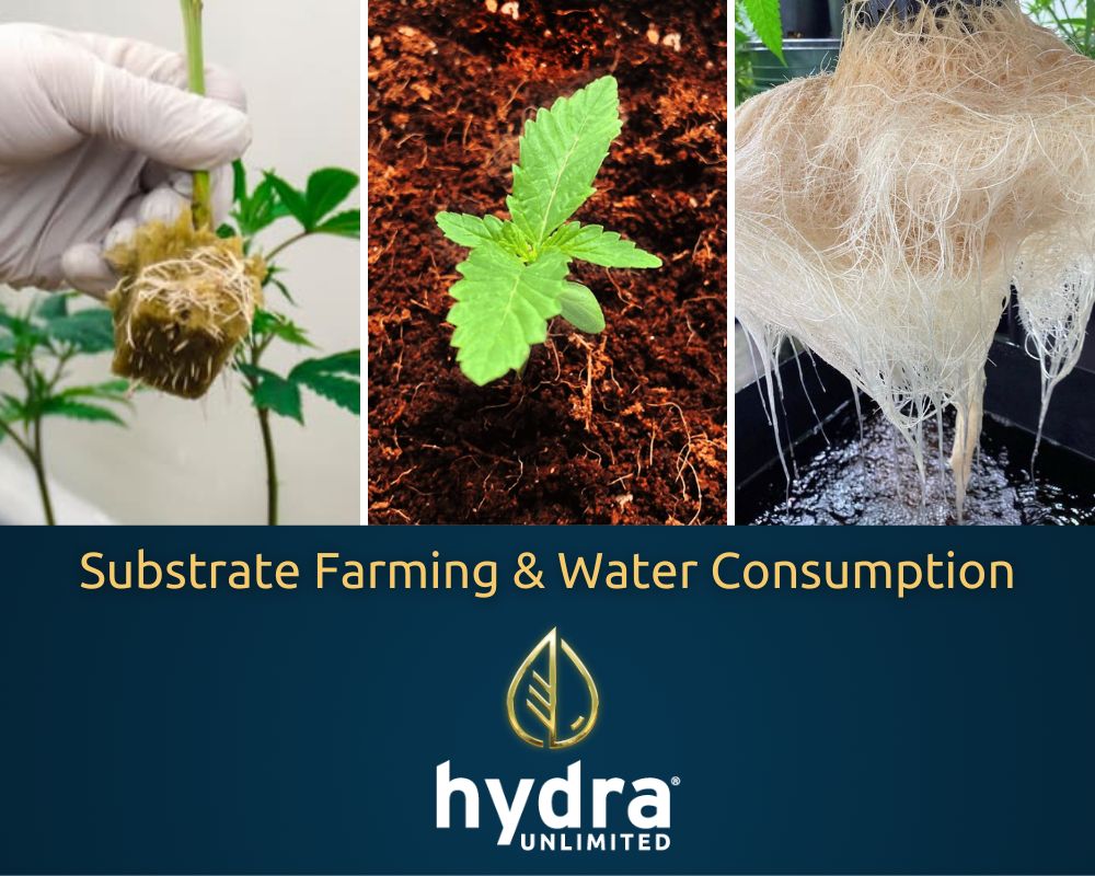 Substrate Farming and Water Consumption