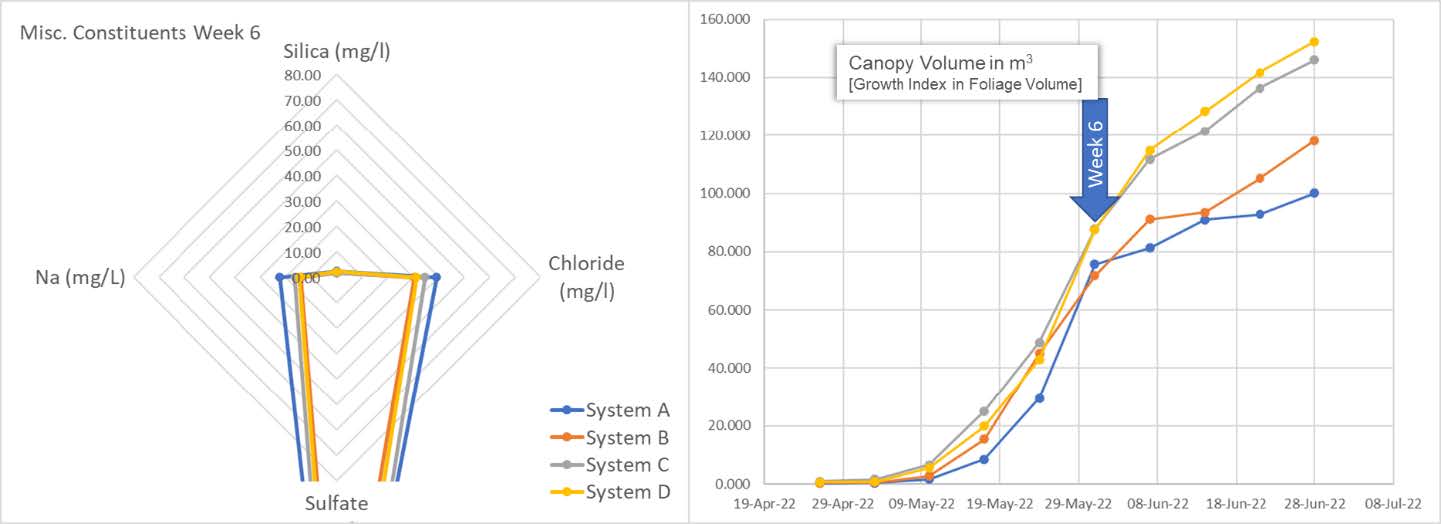 silica consumption and canopy volume week 6