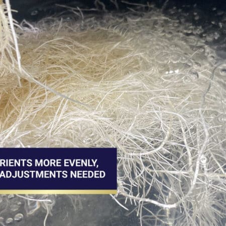 High-Yield Hydroponic Circulation Root Growth