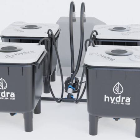 RDWC hydramax 4-bucket home hydroponic system for DWC growing