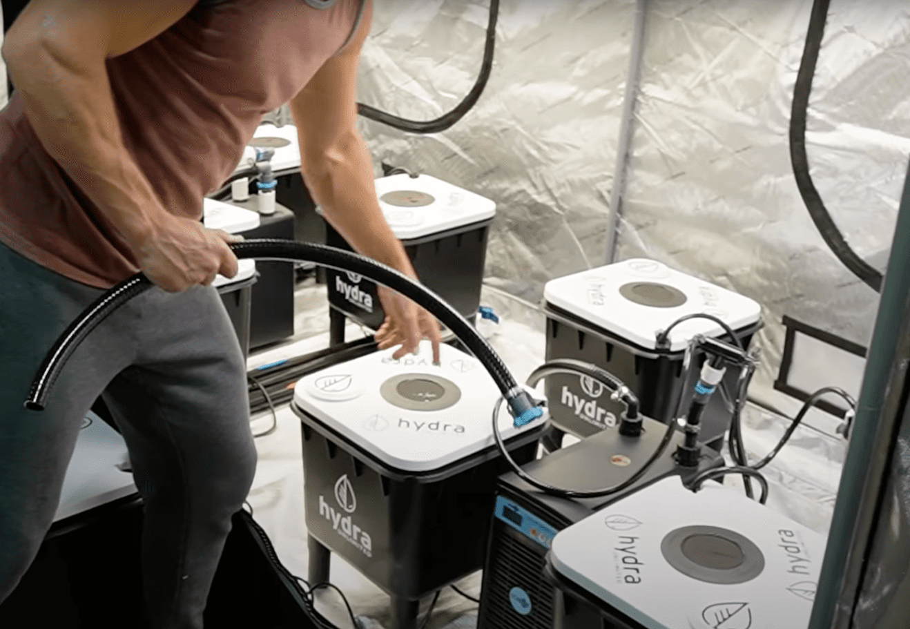 HydraMax 4-Bucket Home RDWC System