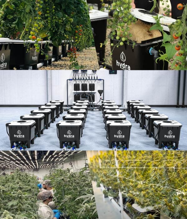Hydra Unlimited DWC Hydroponics and RDWC Hydroponic Systems and Equipment