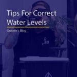 How to set water levels for recirculating deep water culture systems