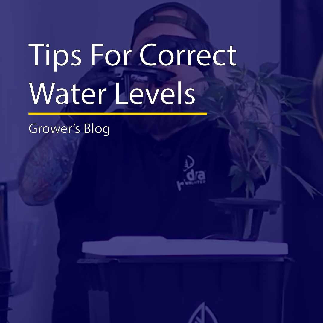 How to set water levels for recirculating deep water culture systems
