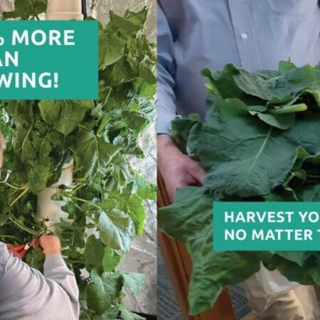 hydra-tower-grow-speeds_