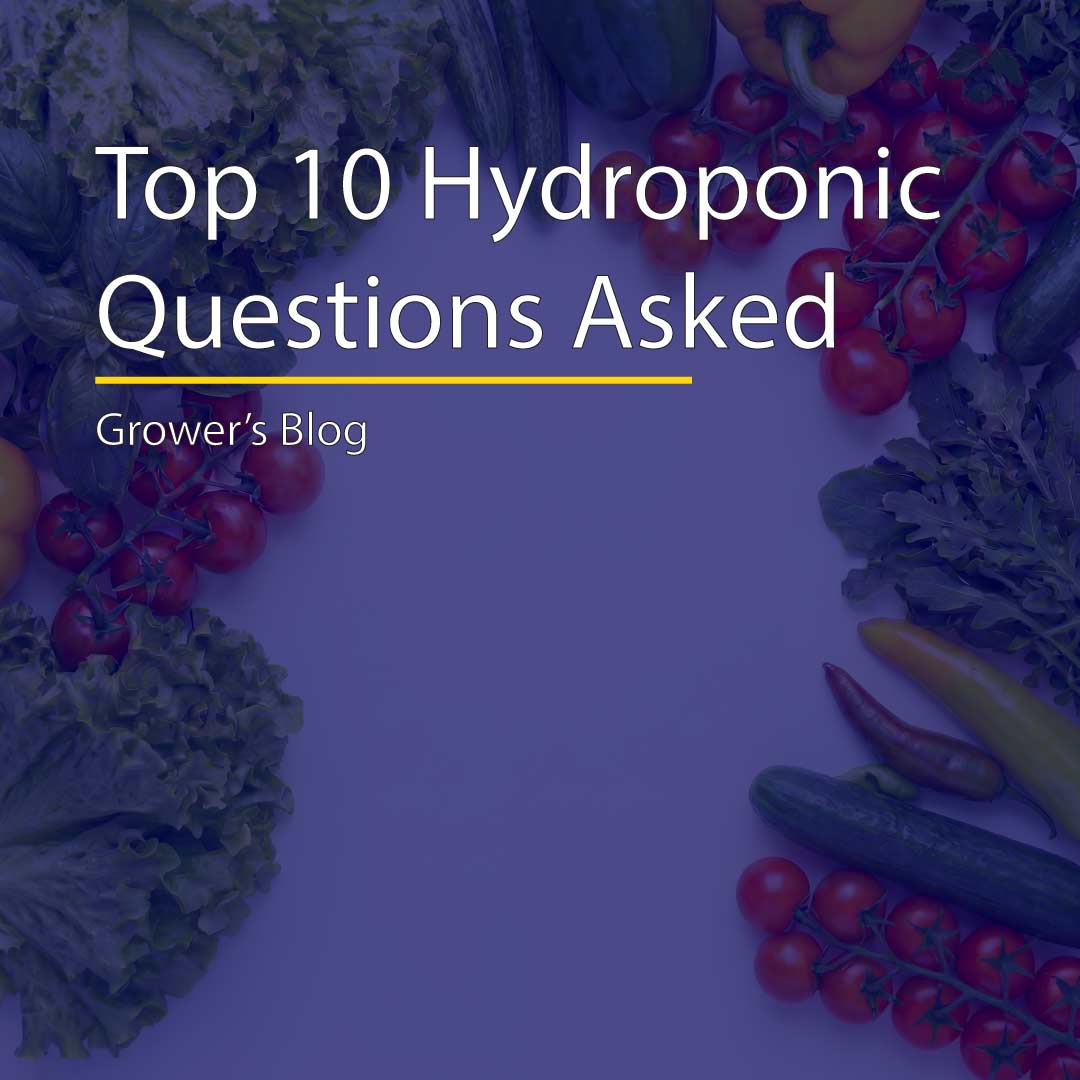 Top 10 Hydroponic Questions Beginners Ask | Hydra Unlimited