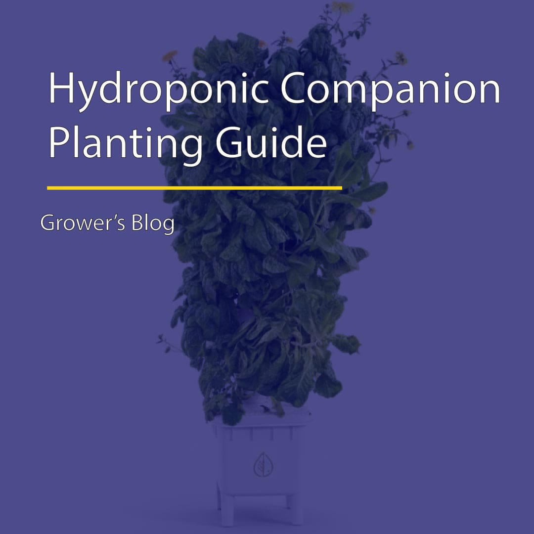 vertical hydroponic companion planting guide - by Hydra Unlimited